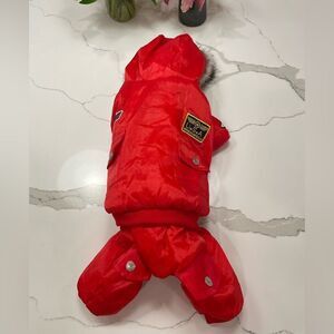 Dog airforce flight jacket